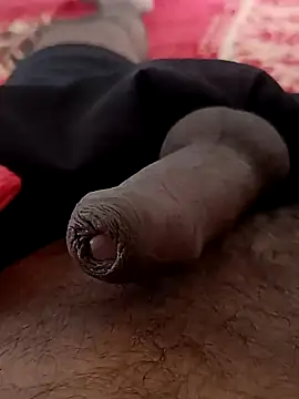 sat 1234 online show from January 15, 2025, 4:04 am