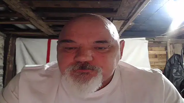 Newfiesausage1972 online show from November 18, 2025, 11:15 pm