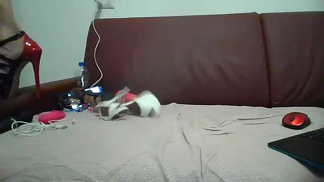 Snapshot of Danielasexy74 chatting on November 14, 2025, 4:38 pm Danielasexy74 online show from November 14, 2025, 4:38 pm