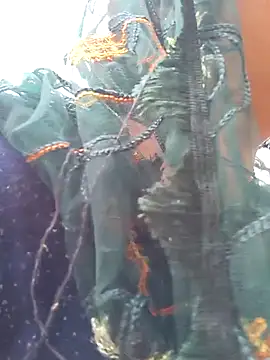 Snapshot of Simaran_bhabhi chatting on March 16, 2025, 4:09 am Simaran bhabhi online show from March 16, 2025, 4:09 am