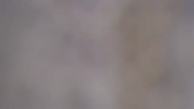 paiper halliwey online show from February 8, 2025, 12:50 pm