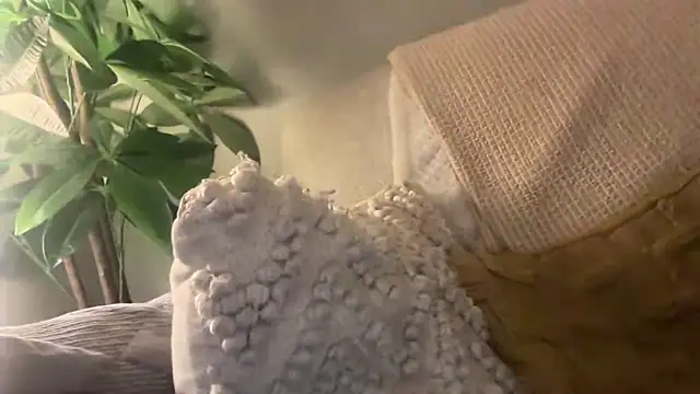 Snapshot of toptugger chatting on October 17, 2025, 7:27 pm toptugger online show from October 17, 2025, 7:27 pm