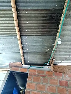 Snapshot of Janle_19c chatting on December 6, 2024, 5:00 pm Janle 19c online show from December 6, 2024, 5:00 pm