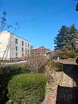 DARemo42O online show from March 9, 2025, 2:43 pm