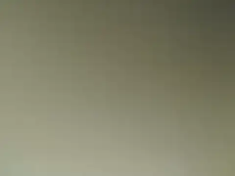 Snapshot of Lovensetest chatting on March 14, 2025, 11:12 am Lovensetest online show from March 14, 2025, 11:12 am