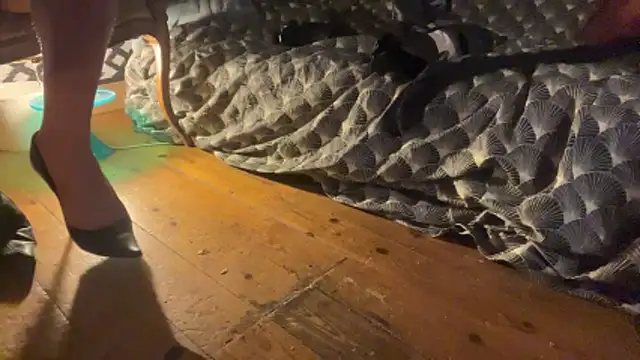 Snapshot of alexheels_boots chatting on December 3, 2025, 2:41 am alexheels boots online show from December 3, 2025, 2:41 am