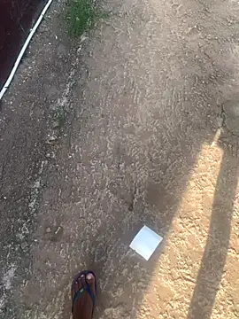 DManL online show from November 13, 2025, 4:44 am