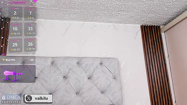 Snapshot of valkilu11 chatting on January 18, 2025, 2:14 am valkilu11 online show from January 18, 2025, 2:14 am