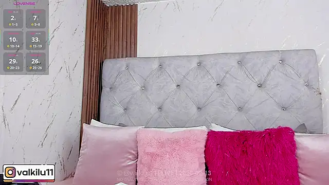 Snapshot of valkilu11 chatting on February 13, 2026, 11:23 pm valkilu11 online show from February 13, 2026, 11:23 pm