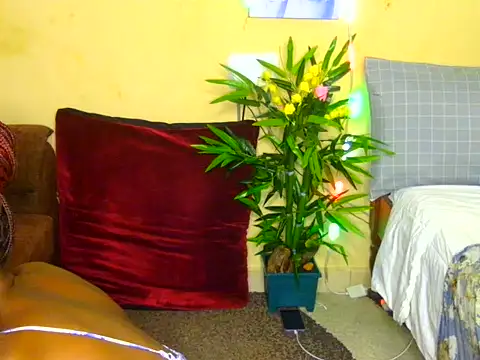 Snapshot of Naughtygal98 chatting on July 7, 2026, 6:27 am Naughtygal98 online show from July 7, 2026, 6:27 am