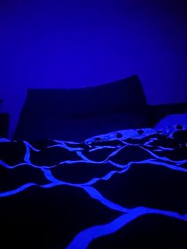 Snapshot of McdyllanXX chatting on January 11, 2025, 1:06 am McdyllanXX online show from January 11, 2025, 1:06 am