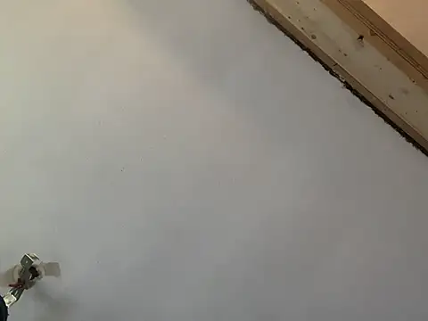 Snapshot of Brando2585 chatting on March 7, 2026, 2:03 pm Brando2585 online show from March 7, 2026, 2:03 pm