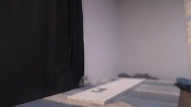 Snapshot of flexingplexico chatting on December 2, 2024, 9:13 am flexingplexico online show from December 2, 2024, 9:13 am