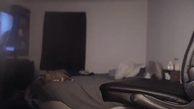 Snapshot of flexingplexico chatting on March 1, 2025, 11:17 am flexingplexico online show from March 1, 2025, 11:17 am