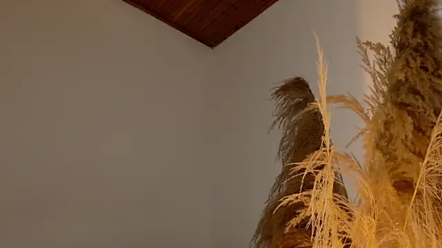 SaraFerreira online show from December 12, 2024, 11:47 pm