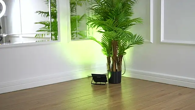 Snapshot of Cherrysweett chatting on October 8, 2025, 7:17 am Cherrysweett online show from October 8, 2025, 7:17 am