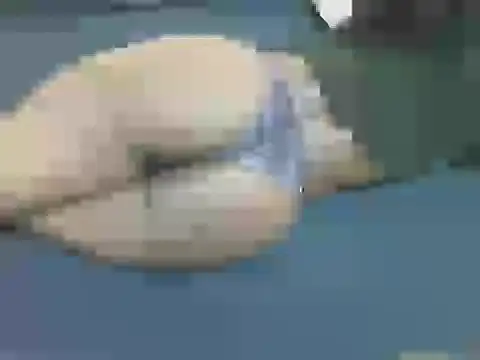 Snapshot of lella-0 chatting on October 16, 2025, 9:38 pm lella-0 online show from October 16, 2025, 9:38 pm