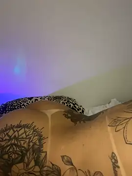 TigrezaSC online show from February 6, 2025, 7:56 am