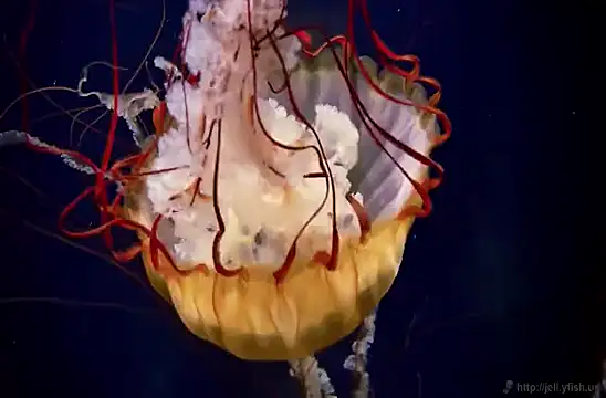 Snapshot of streamy_test15 chatting on February 3, 2025, 8:13 am streamy test15 online show from February 3, 2025, 8:13 am