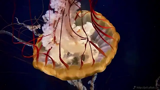 Snapshot of streamy_test15 chatting on September 18, 2025, 12:18 pm streamy test15 online show from September 18, 2025, 12:18 pm