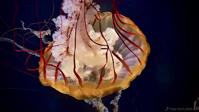 Snapshot of streamy_test15 chatting on November 6, 2025, 2:51 pm streamy test15 online show from November 6, 2025, 2:51 pm