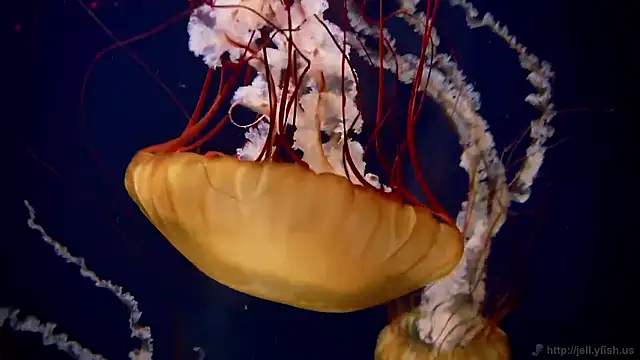 Snapshot of streamy_test15 chatting on November 7, 2025, 1:22 pm streamy test15 online show from November 7, 2025, 1:22 pm