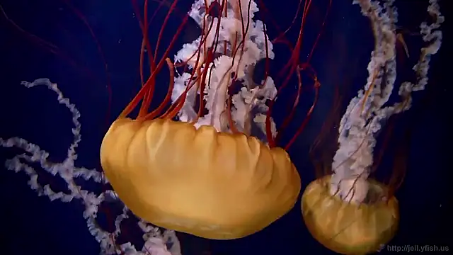 Snapshot of streamy_test15 chatting on November 12, 2025, 1:44 pm streamy test15 online show from November 12, 2025, 1:44 pm