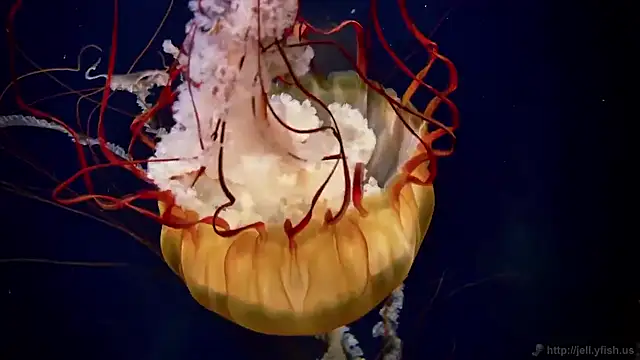 Snapshot of streamy_test15 chatting on November 27, 2025, 3:14 pm streamy test15 online show from November 27, 2025, 3:14 pm