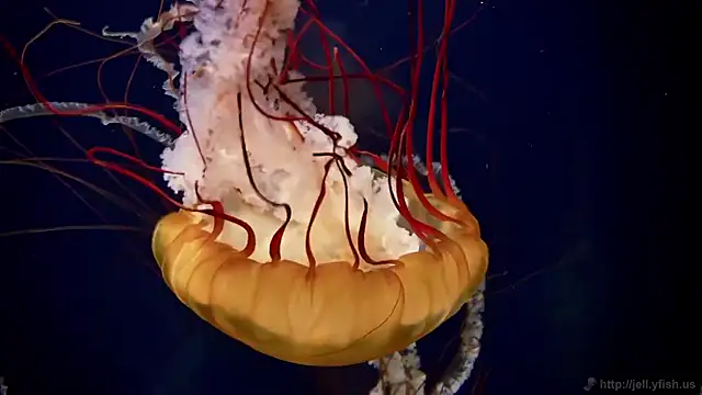 Snapshot of streamy_test15 chatting on December 2, 2025, 11:37 am streamy test15 online show from December 2, 2025, 11:37 am