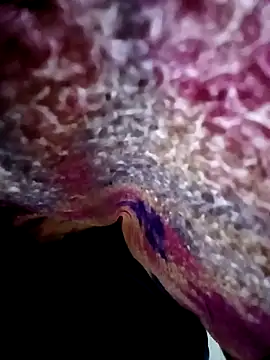 Snapshot of morenogts69 chatting on October 24, 2025, 1:29 pm morenogts69 online show from October 24, 2025, 1:29 pm