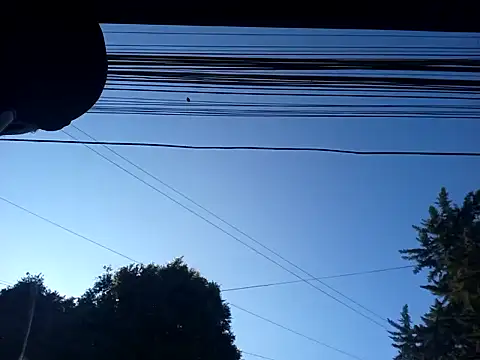 weedmanhot28 online show from January 30, 2025, 12:48 pm