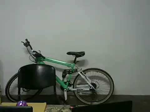 michel sc online show from January 13, 2026, 8:08 am