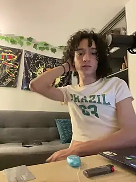 Snapshot of Danni_boy chatting on December 24, 2024, 11:33 pm Danni boy online show from December 24, 2024, 11:33 pm