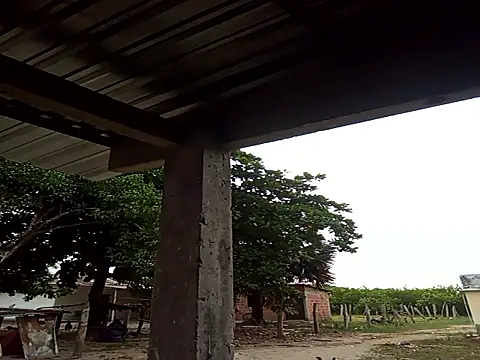 natally ross21 online show from December 21, 2025, 12:01 pm