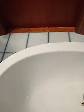 Durovoglioso2 online show from March 15, 2026, 7:14 am