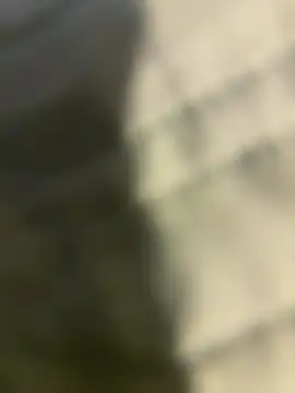 Ariel Ari online show from December 31, 2024, 8:12 pm