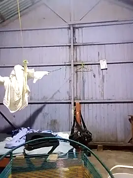 Snapshot of leyel00155 chatting on March 12, 2026, 12:17 am leyel00155 online show from March 12, 2026, 12:17 am