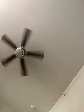 Snapshot of goldbuni chatting on December 3, 2024, 2:49 pm goldbuni online show from December 3, 2024, 2:49 pm