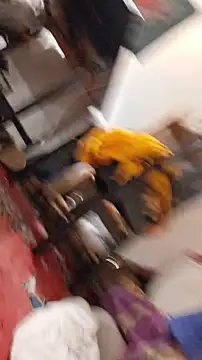 emma neko online show from November 22, 2025, 6:40 pm