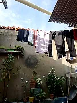 room 24funn online show from January 10, 2026, 8:32 pm