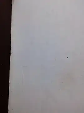 Snapshot of AmnionicDemeanor chatting on November 2, 2025, 11:56 am AmnionicDemeanor online show from November 2, 2025, 11:56 am