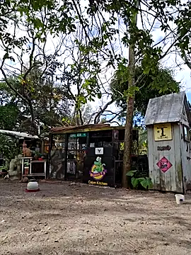 Snapshot of Mistress_Melissa chatting on February 4, 2025, 3:04 pm Mistress Melissa online show from February 4, 2025, 3:04 pm