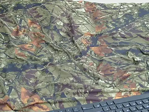 berbie  online show from October 2, 2025, 4:03 pm