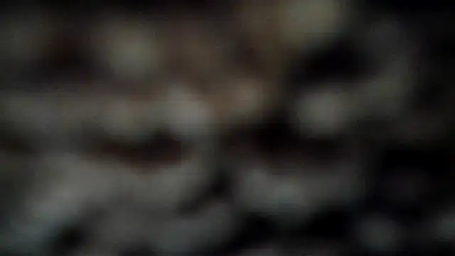 Snapshot of leatherz69 chatting on March 7, 2025, 4:02 am leatherz69 online show from March 7, 2025, 4:02 am