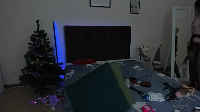 Snapshot of CassieEvans chatting on December 29, 2024, 6:56 am CassieEvans online show from December 29, 2024, 6:56 am