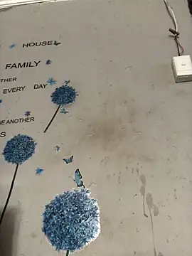 Snapshot of DiamondGoddes chatting on January 14, 2025, 7:38 am DiamondGoddes online show from January 14, 2025, 7:38 am