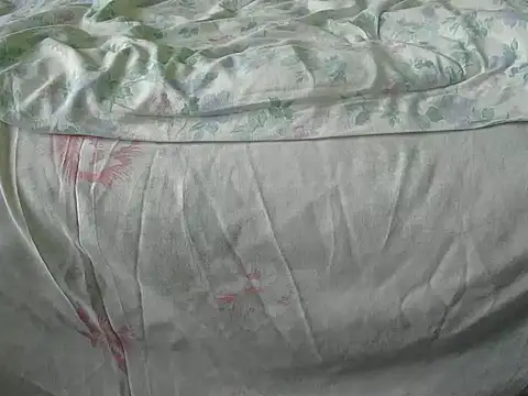 Tiger202441 online show from December 18, 2024, 10:08 am