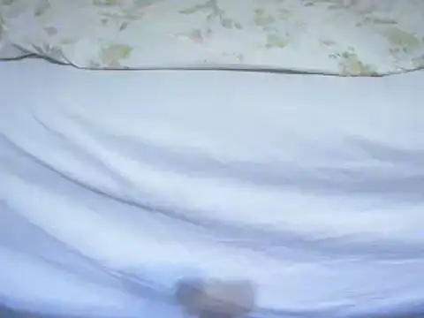 Tiger202441 online show from February 12, 2025, 11:41 pm