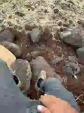 Snapshot of murokkk31 chatting on December 11, 2024, 12:23 pm murokkk31 online show from December 11, 2024, 12:23 pm