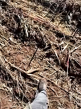 murokkk31 online show from December 14, 2025, 8:41 am